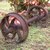 Train wheels from a sugarcane train