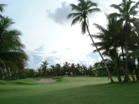 Golf Amongst the Coconut Trees