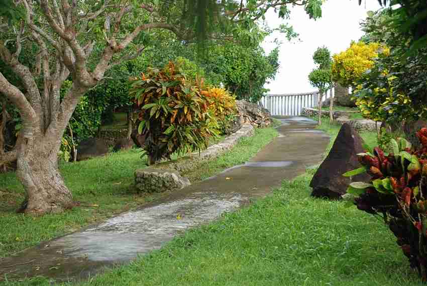 Pathway to Overlook