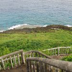 Cliff Edge View