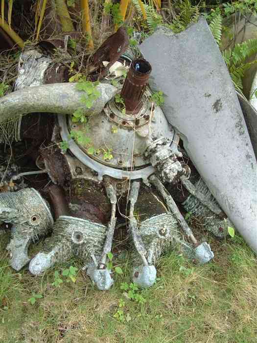 Remains of a Japanese Plane Crash