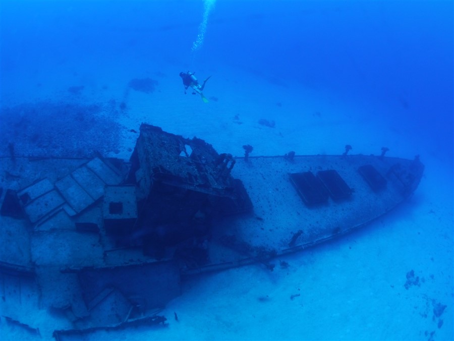 Diver On 7-Screws Wreck