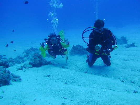 Divers in the Sand