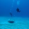 Divers and Stingray