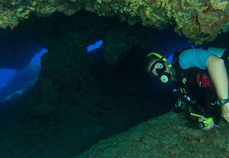 Diver at Hobbithouse