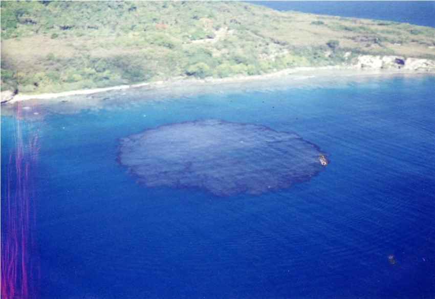 Destruction at Coral Garden